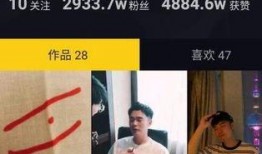 没有视频怎么爆料抖音呢,抖音新玩法揭秘